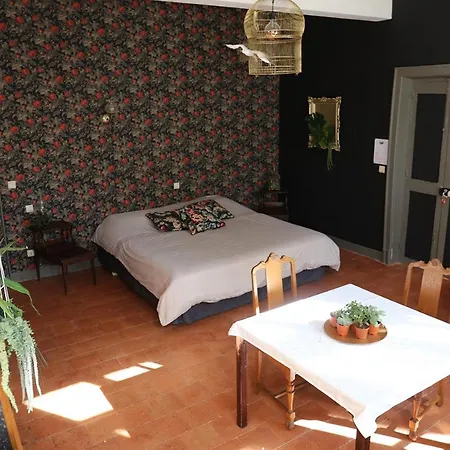 La Maison Du Saula Lafrançaise